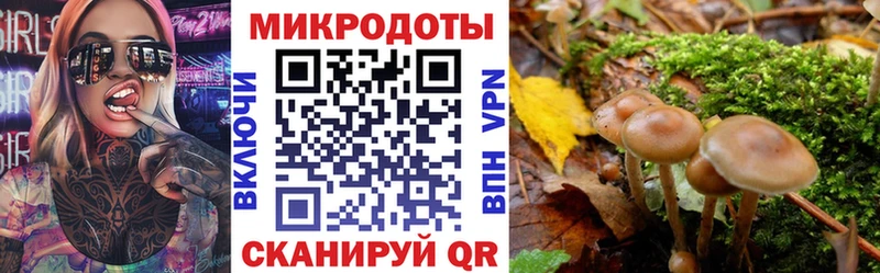 Галлюциногенные грибы MAGIC MUSHROOMS  где можно купить   Туран 