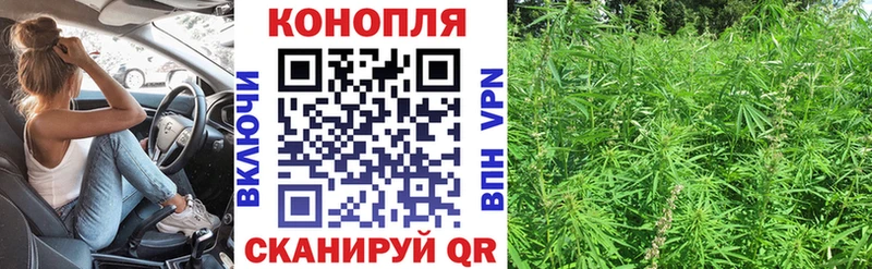 Конопля MAZAR  Туран 